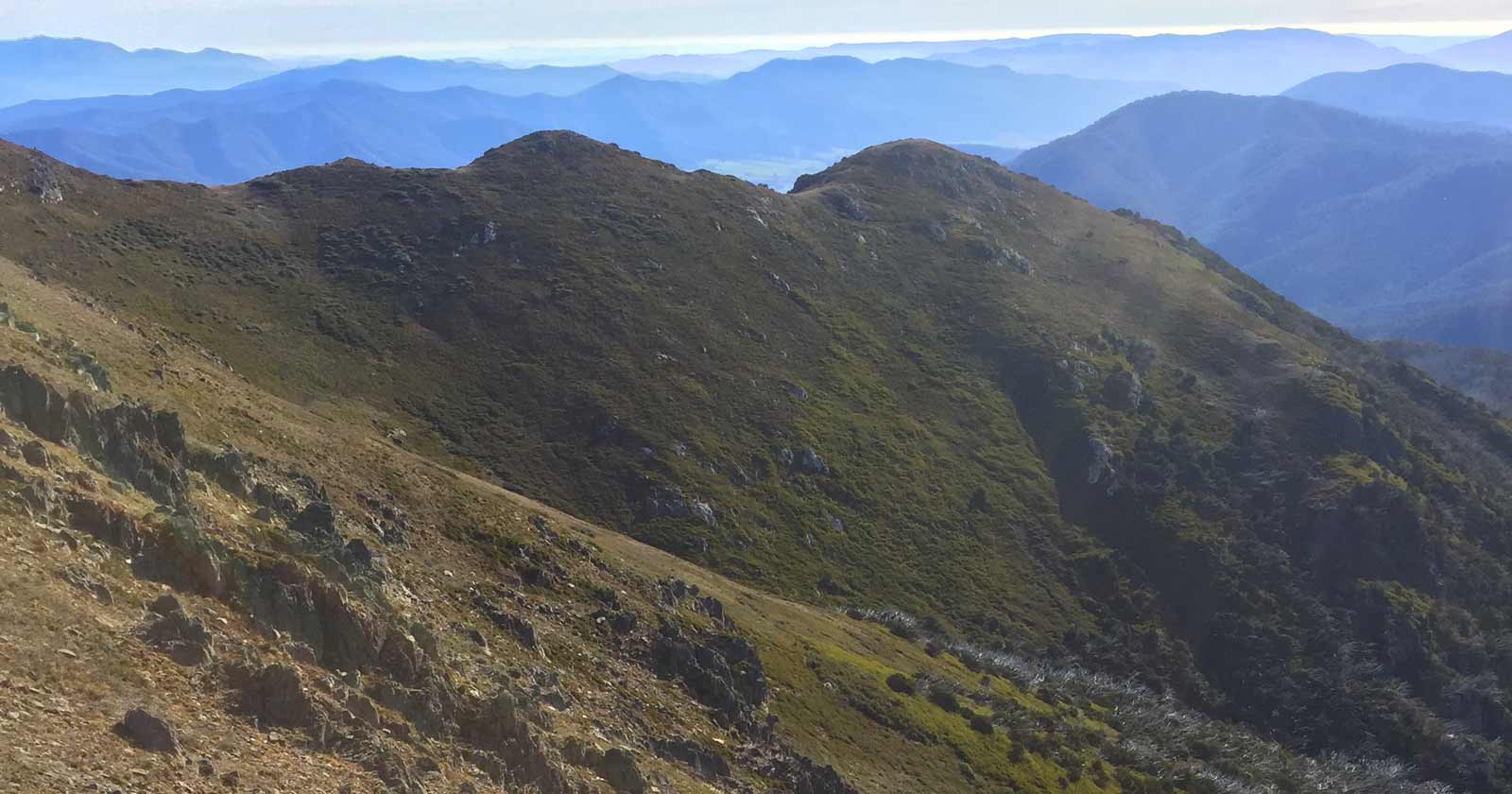 Mount bogong (1986m)