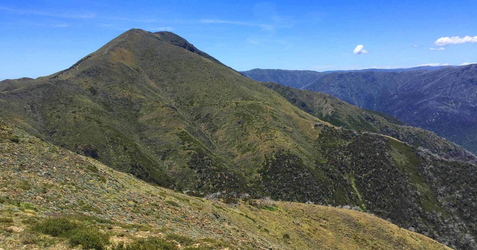 Mount feathertop (1922m)