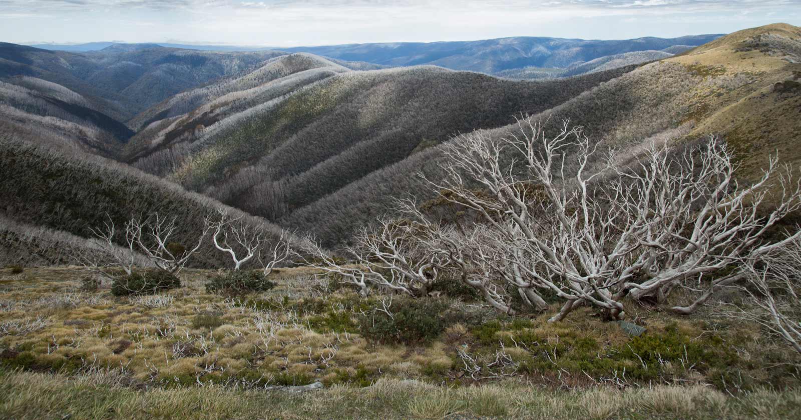 Mount hotham (1868m)