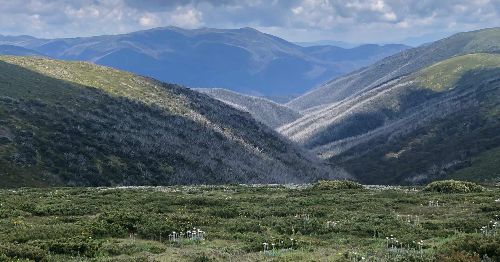 Mount nelse north (1885m)