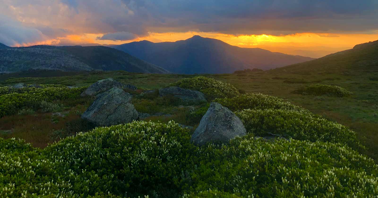 A hiker's guide to Victoria's 10 highest peaks Victorias 10 highest peaks
