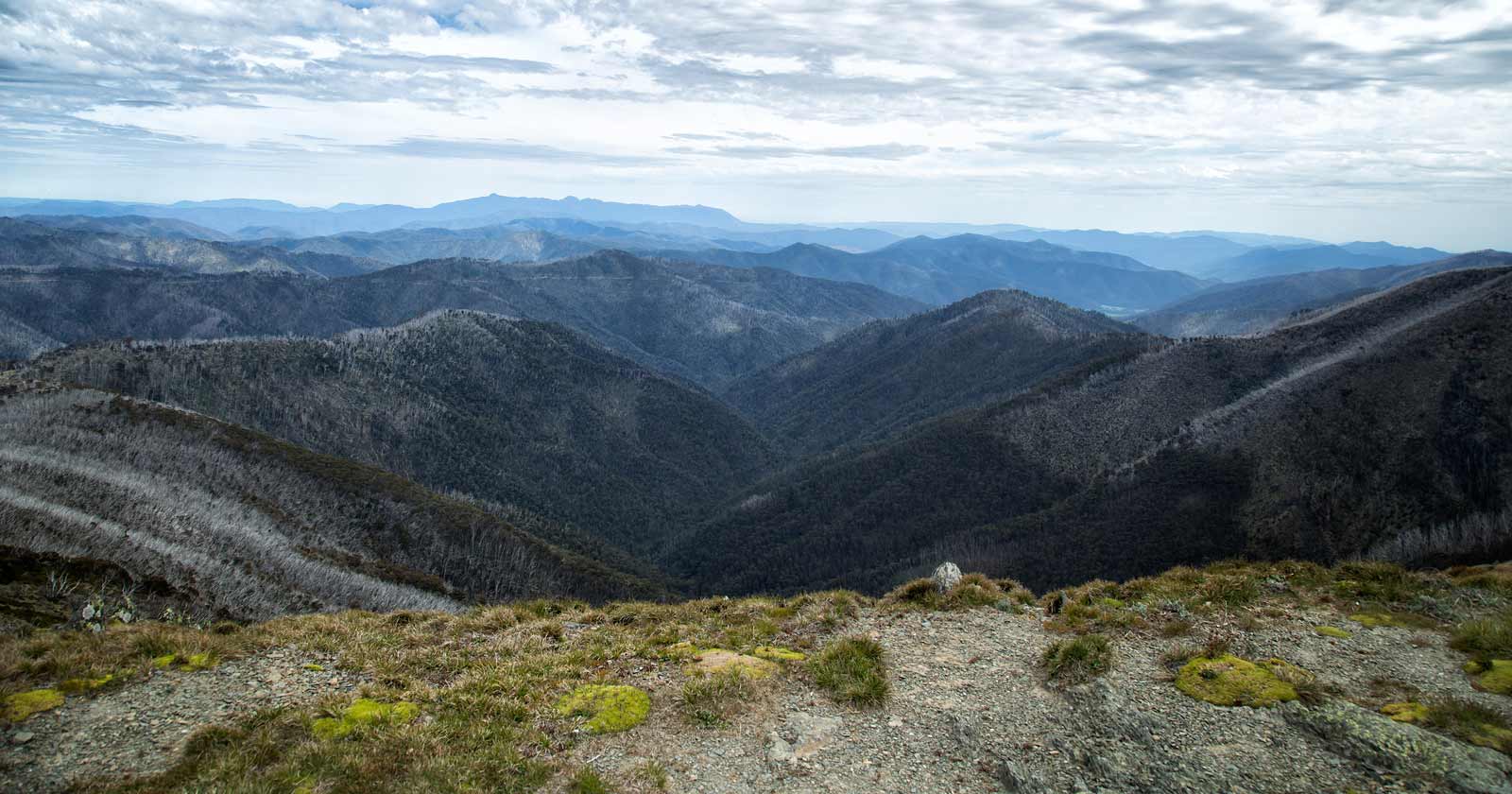 View from mount hotham (1868m)