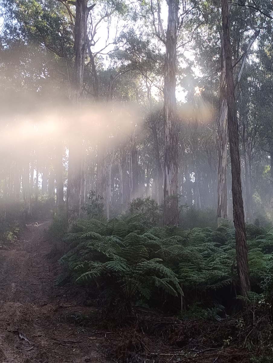 Aberfeldy thompson loop hike 3