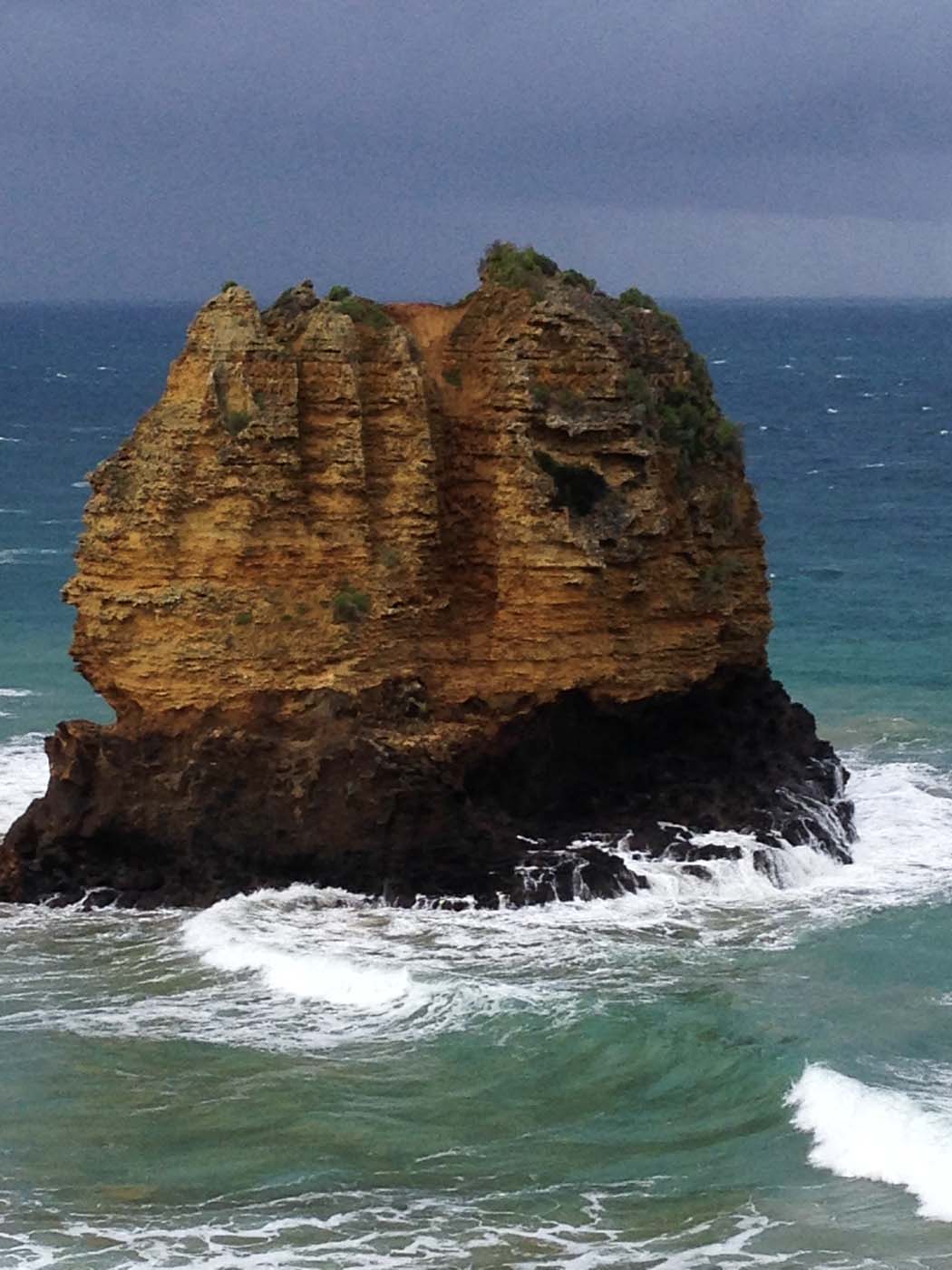 Aireys inlet cliffs hike (2)