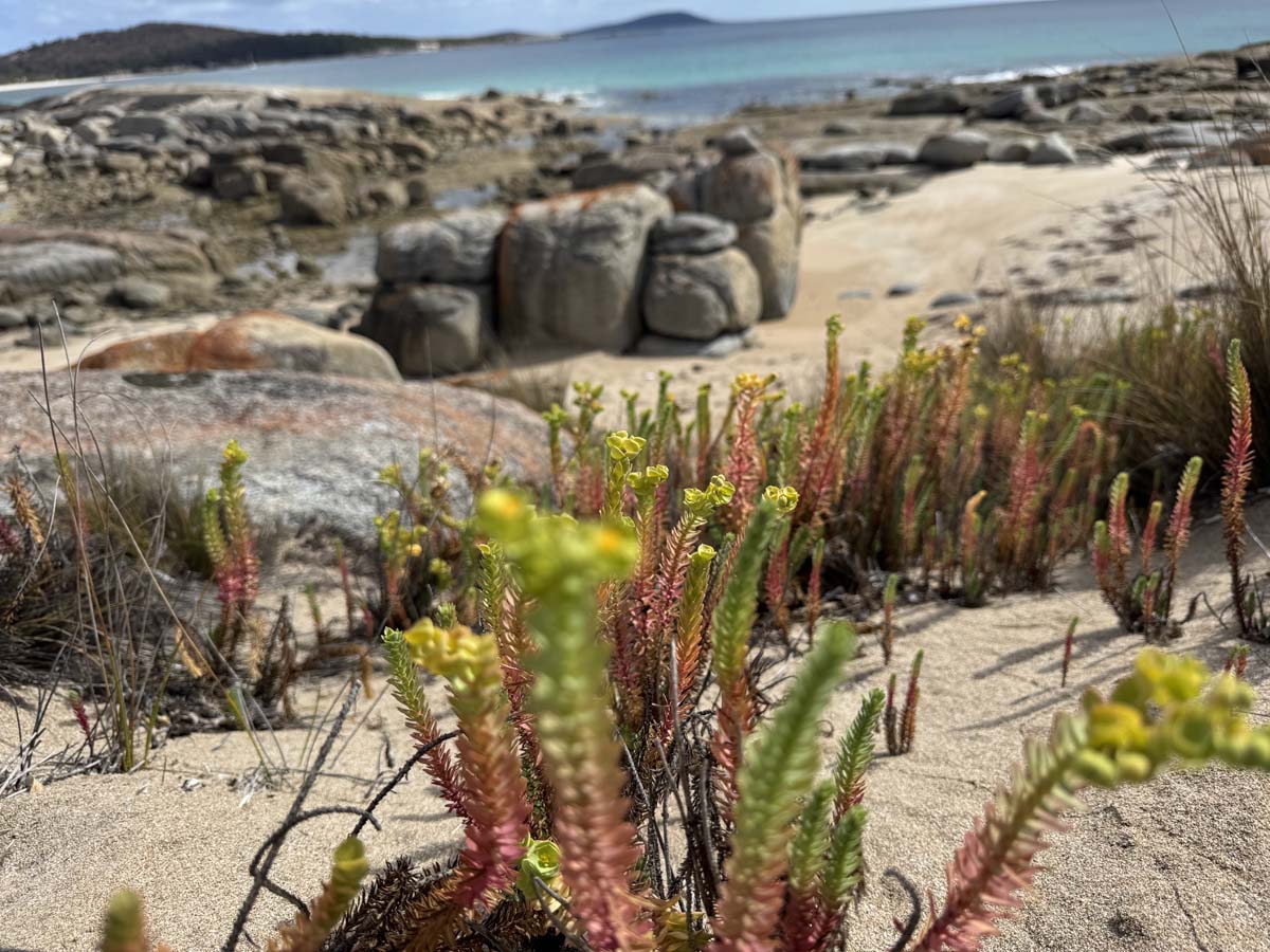 Allports and cave beach 6