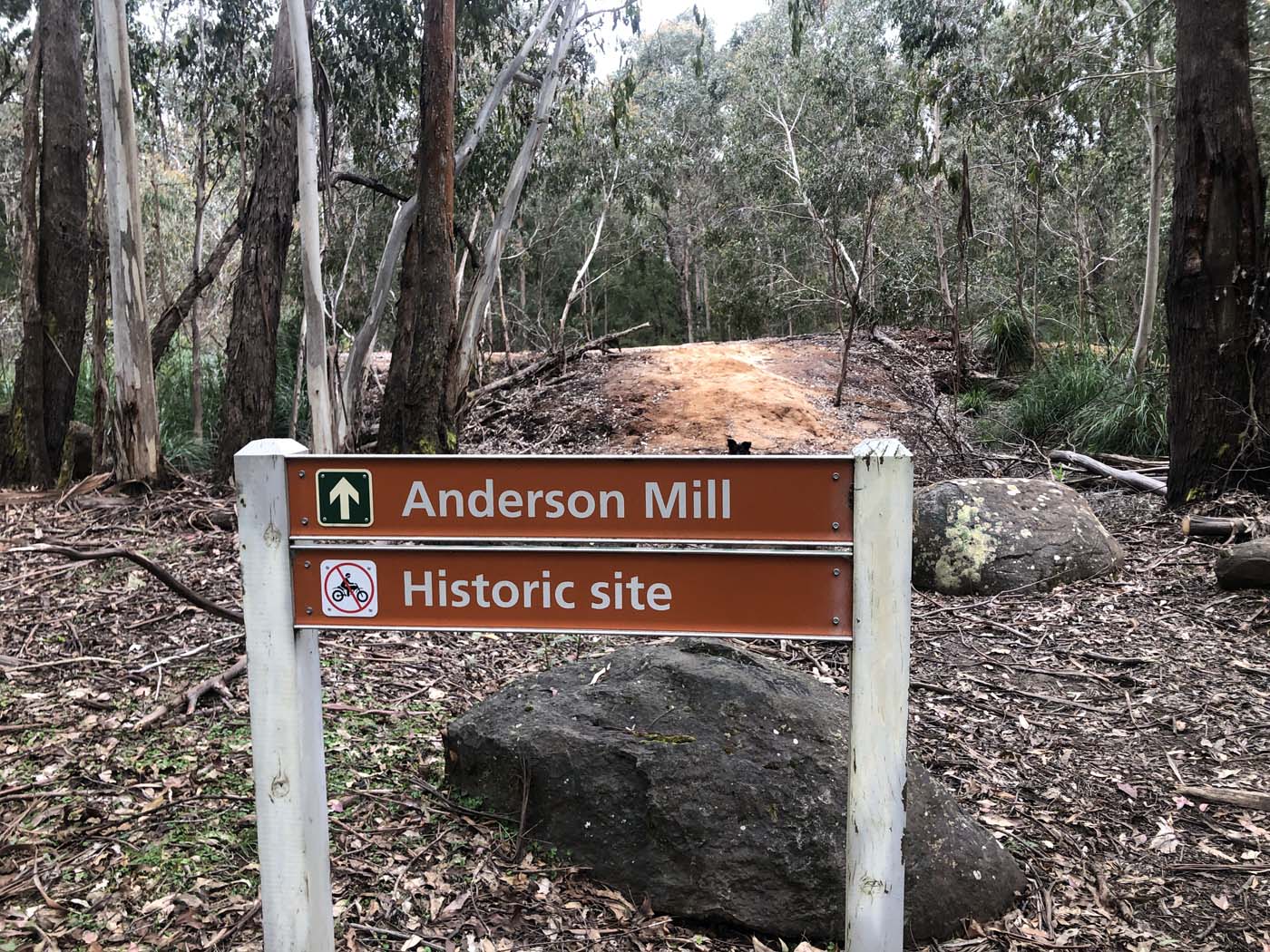 Anderson mill walking track (10)