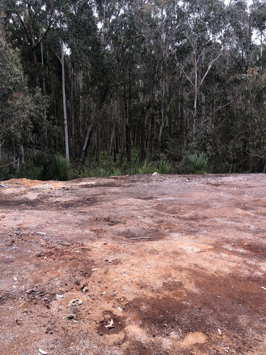 Anderson mill walking track (12)