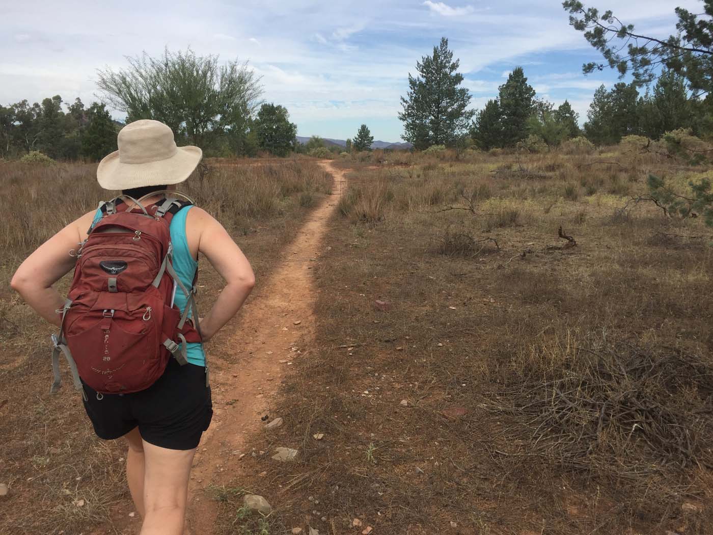Haywards hike 5