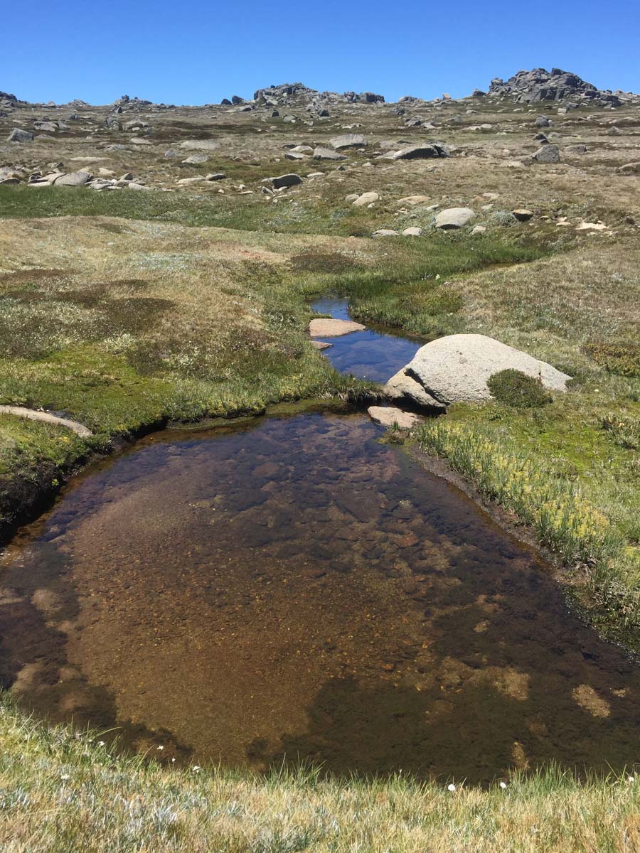 Australia's eleven highest peaks hike 130