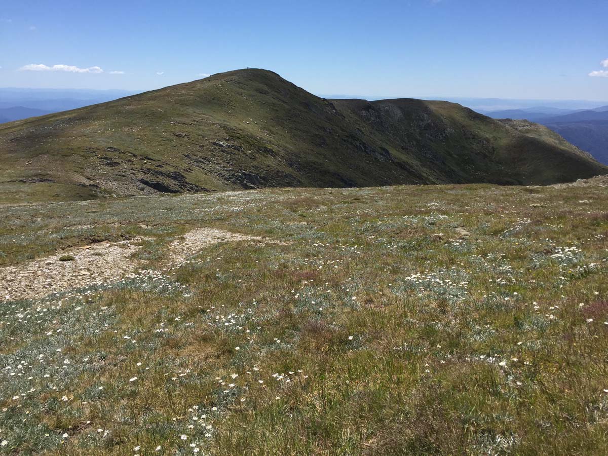 Australia's eleven highest peaks hike 30