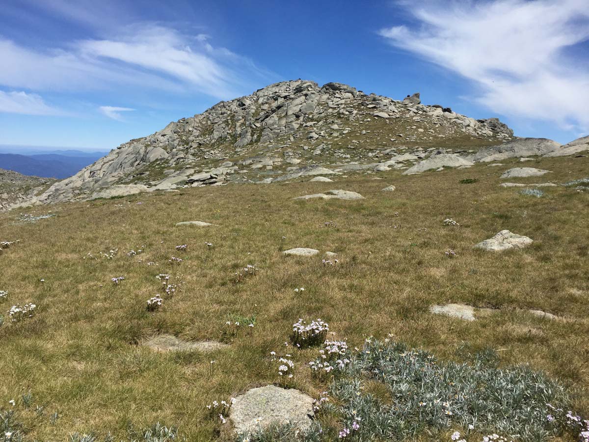 Australia's eleven highest peaks hike 52