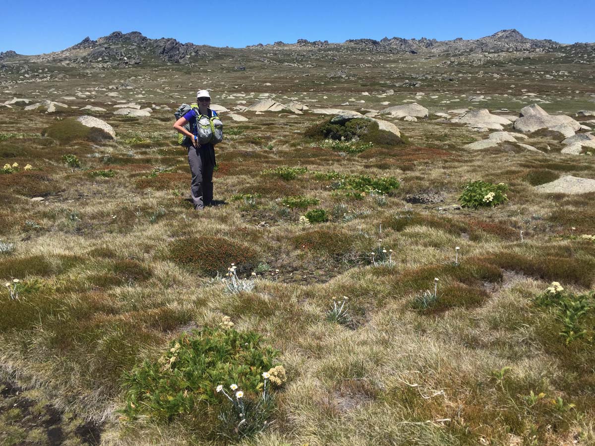 Australia's eleven highest peaks hike 93