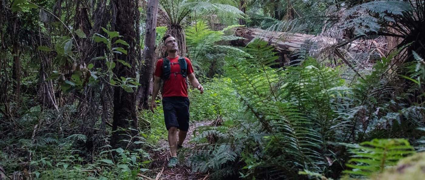Backstairs track little joe loop tramway
