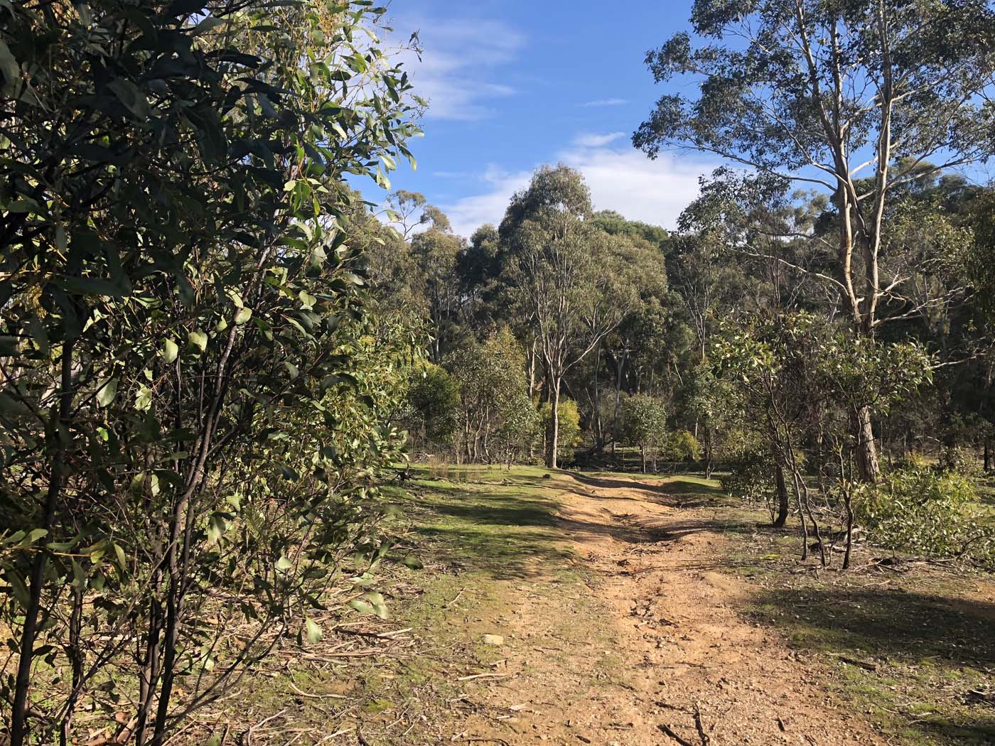 Beards gully deadmans loop (1)