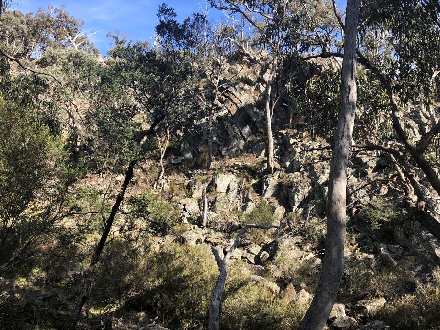 Beards gully deadmans loop (10)