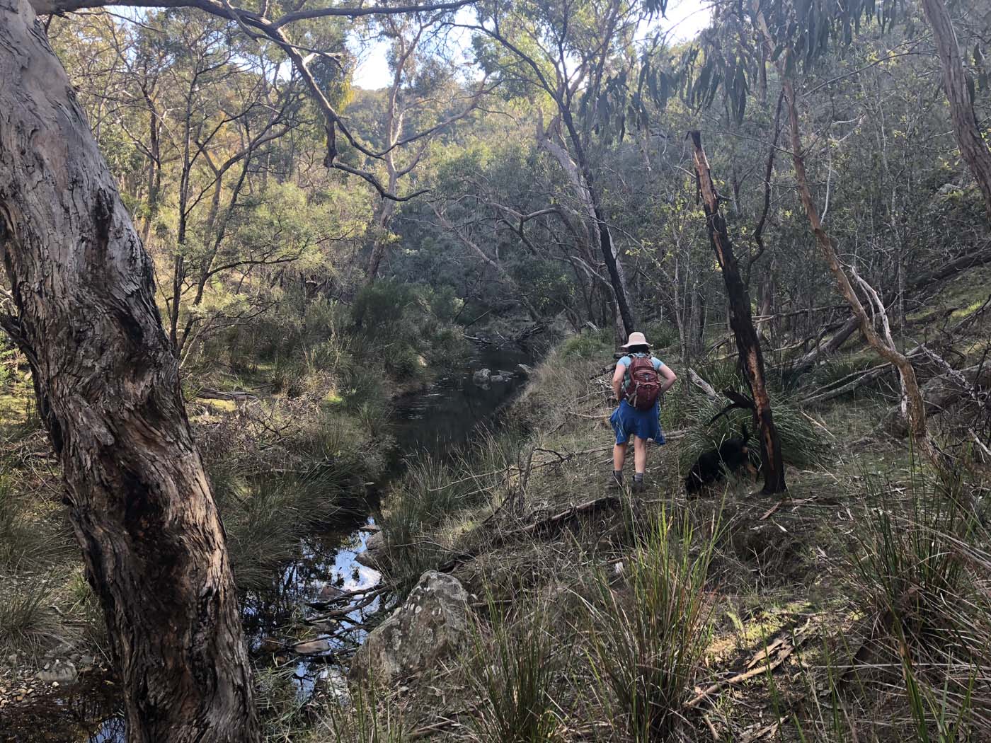 Beards gully deadmans loop (11)