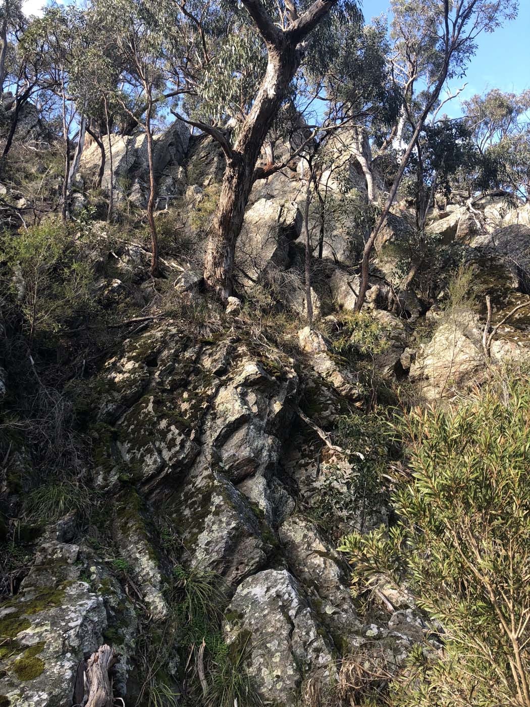 Beards gully deadmans loop (14)