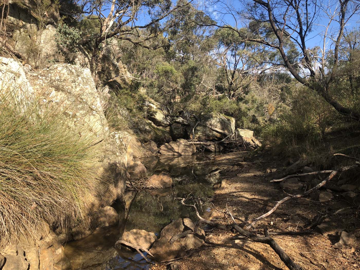 Beards gully deadmans loop (15)