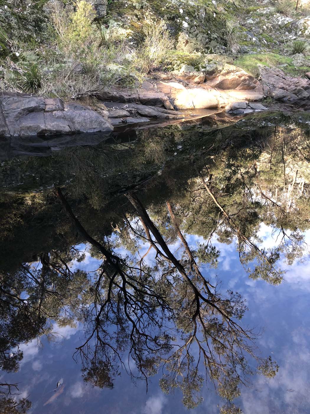 Beards gully deadmans loop (24)