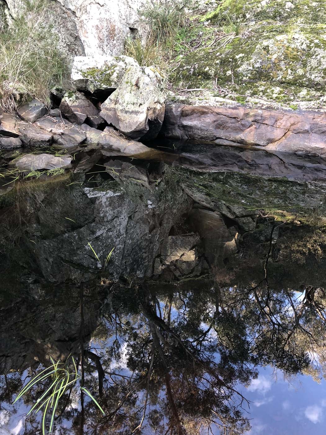 Beards gully deadmans loop (25)