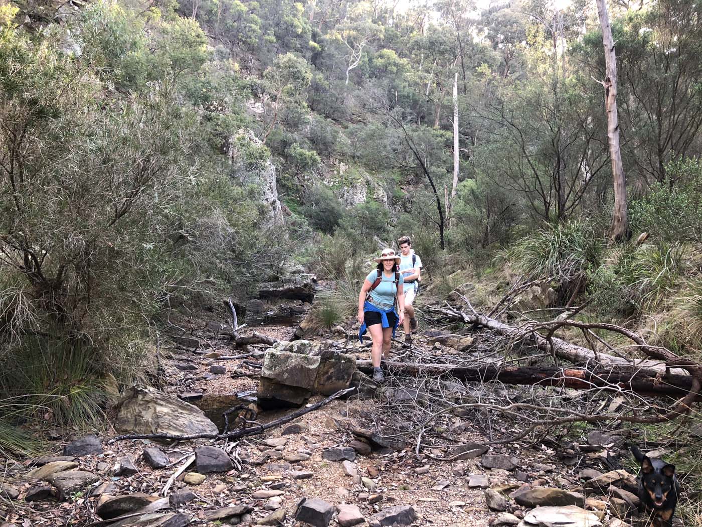 Beards gully deadmans loop (28)