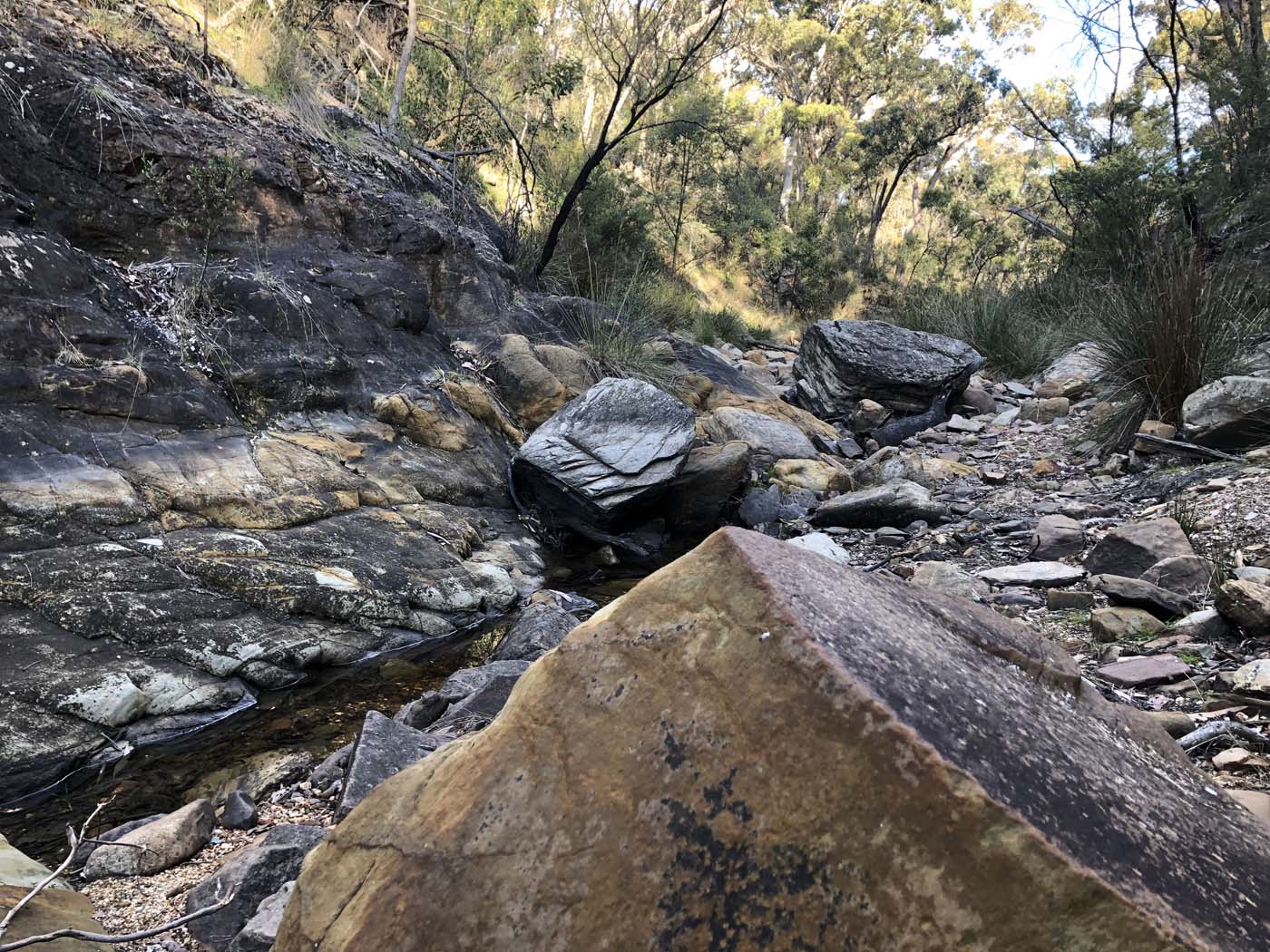 Beards gully deadmans loop (29)