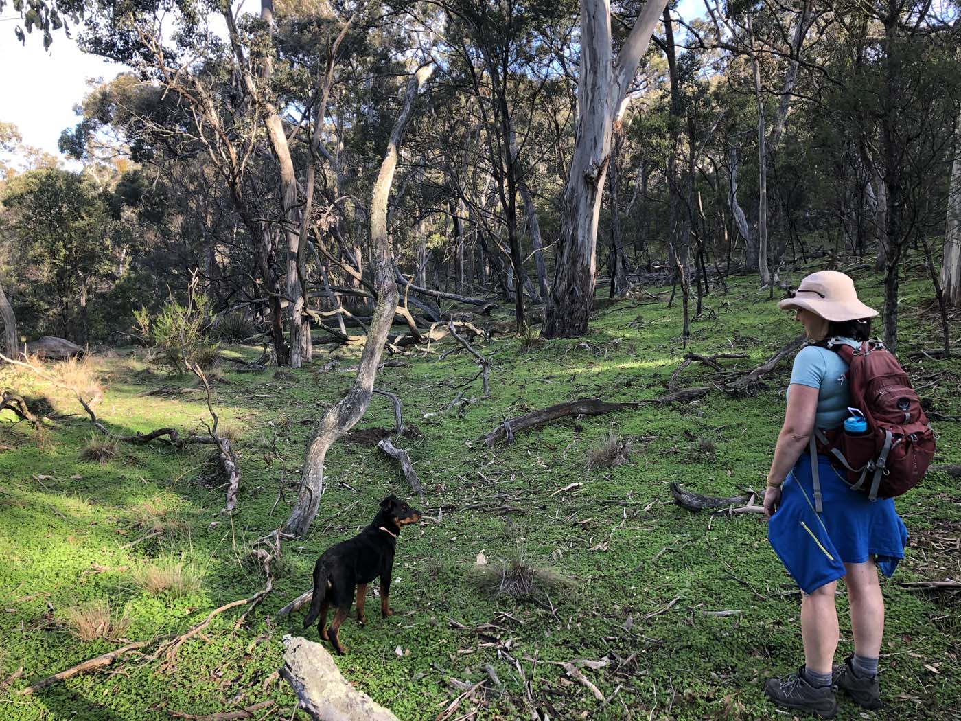 Beards gully deadmans loop (30)