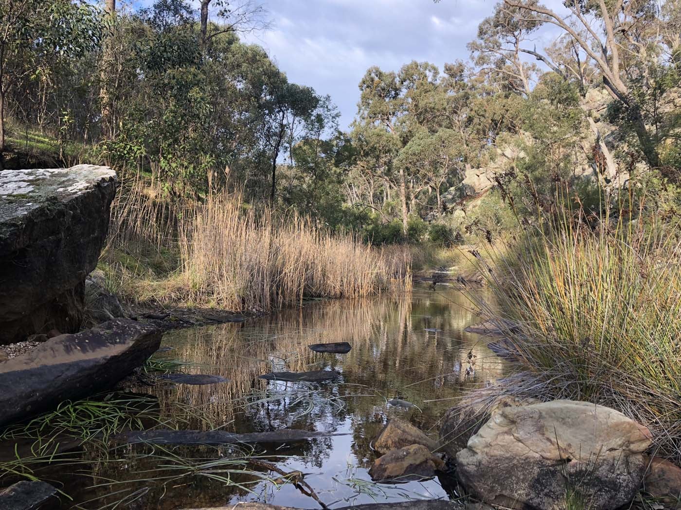 Beards gully deadmans loop (32)