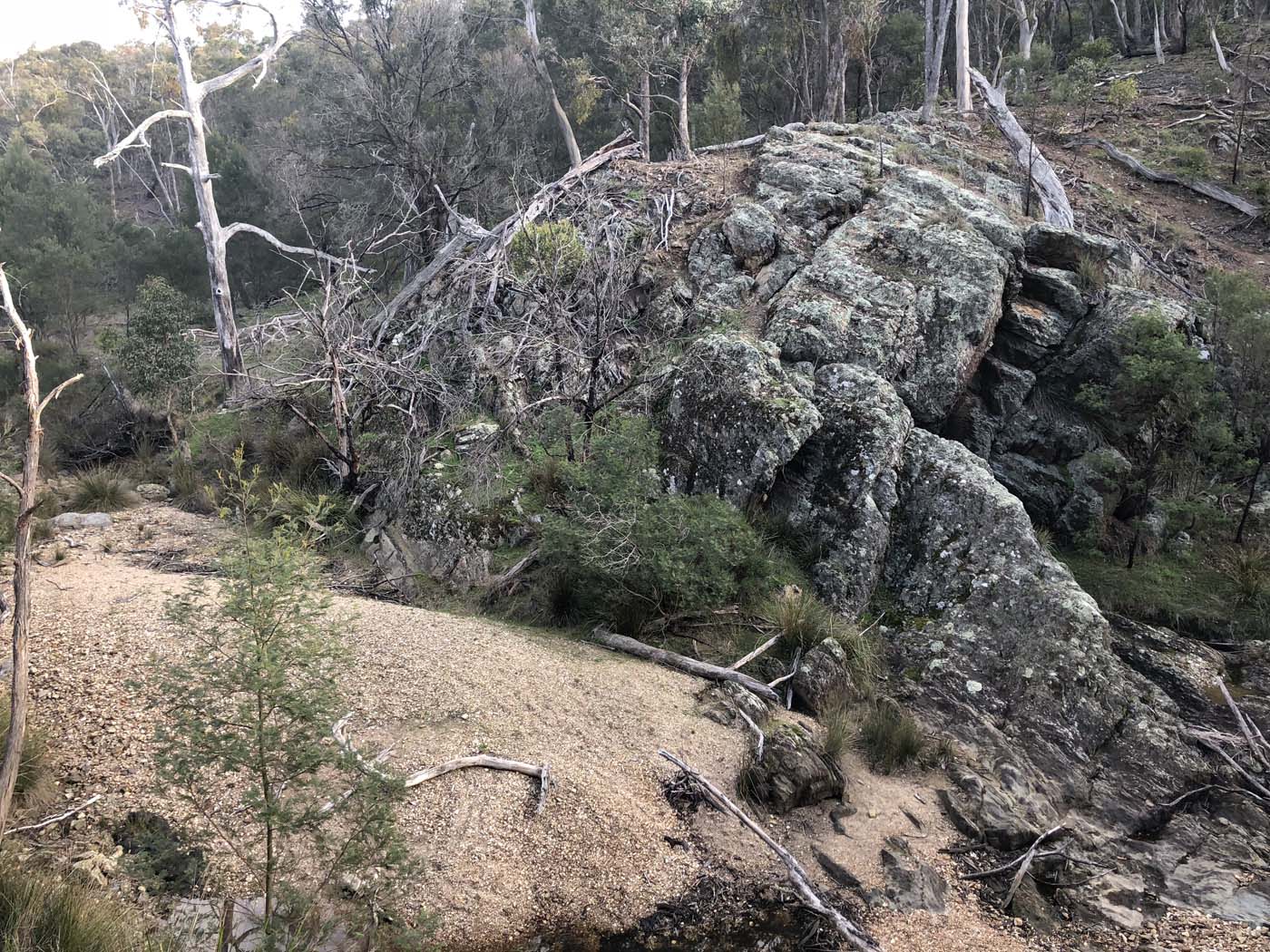 Beards gully deadmans loop (33)