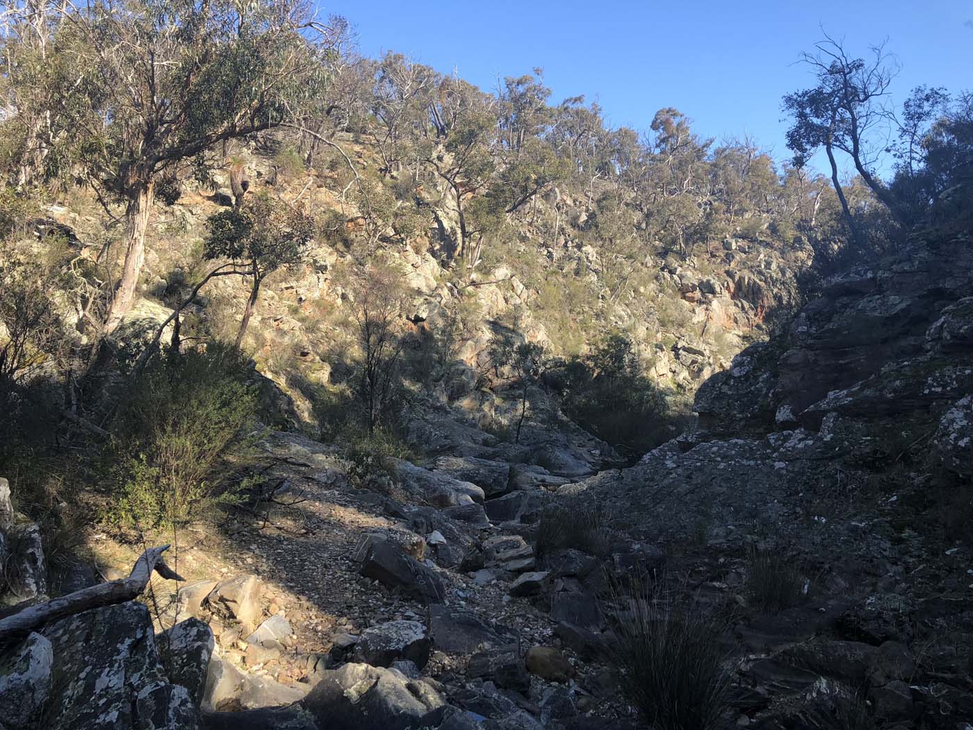 Beards gully deadmans loop (4)