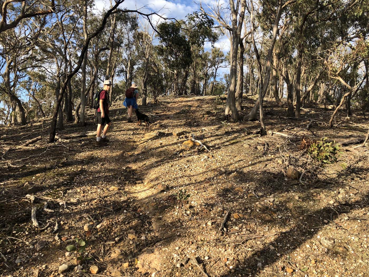 Beards gully deadmans loop (40)