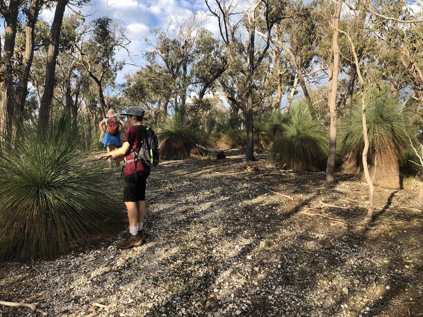 Beards gully deadmans loop (41)