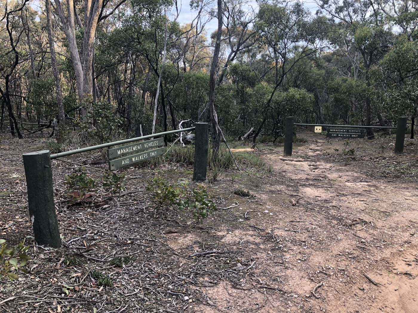 Beards gully deadmans loop (43)