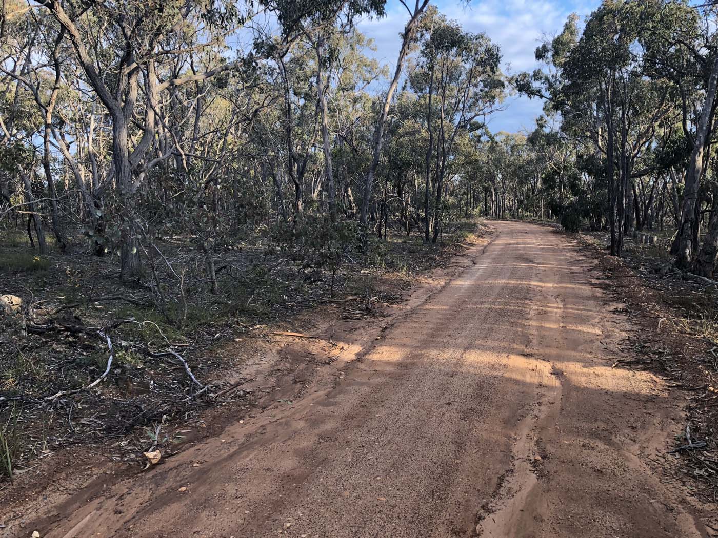 Beards gully deadmans loop (44)
