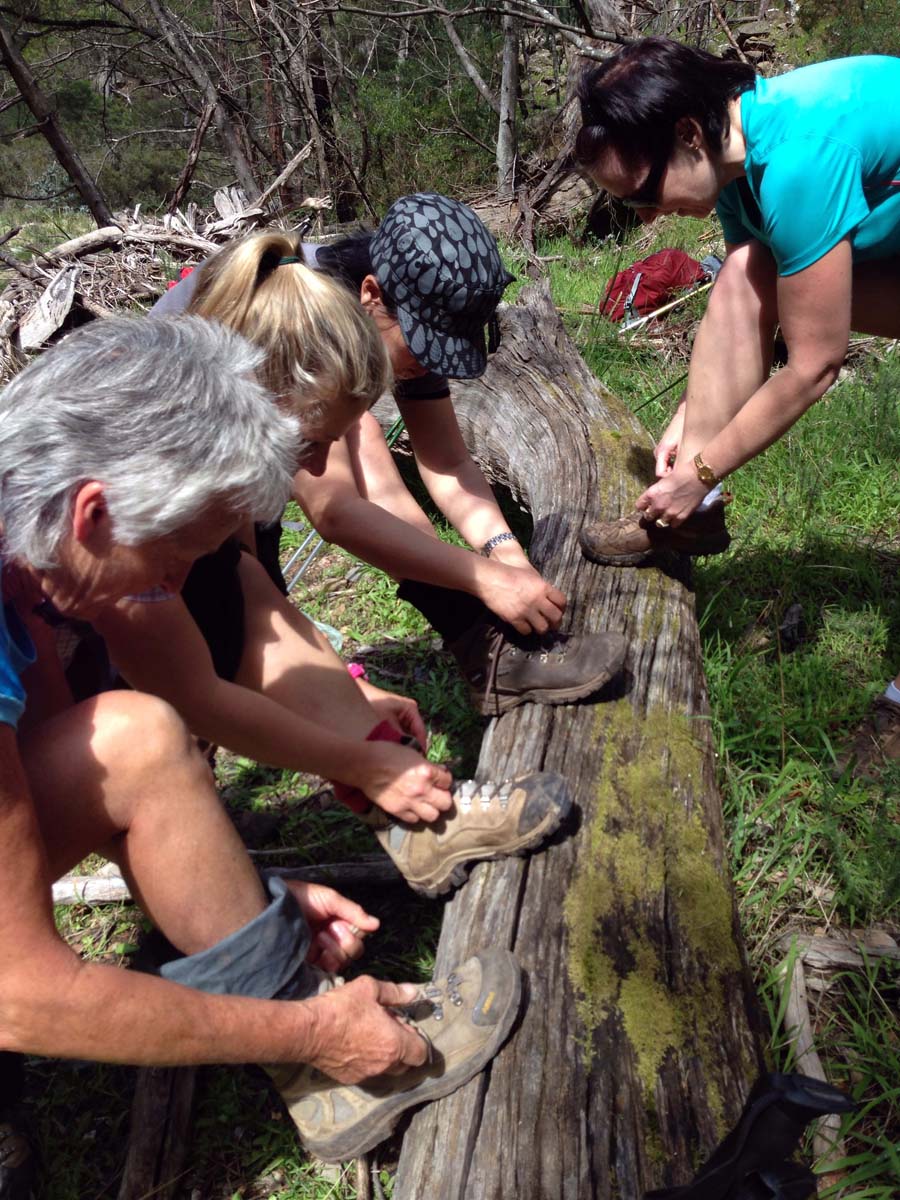 Bears head circuit hike 10