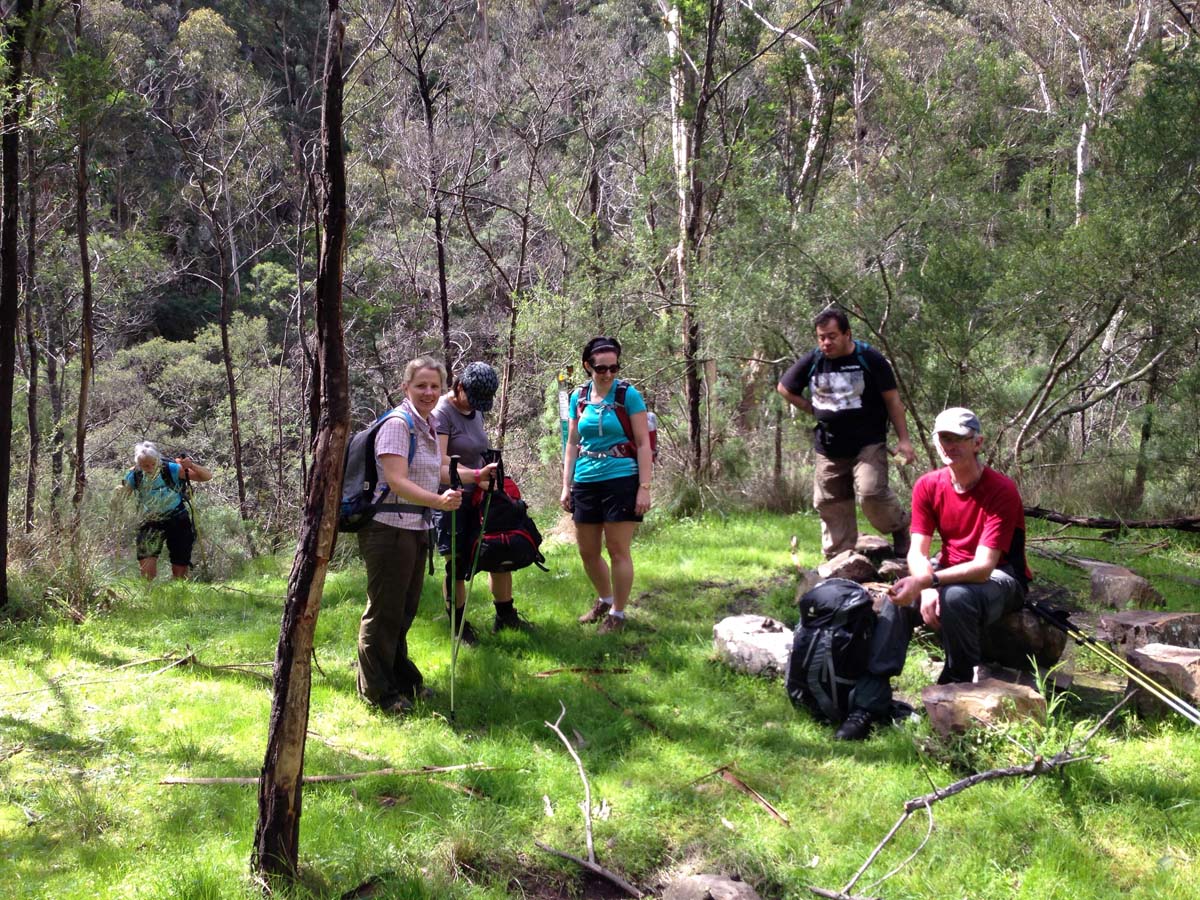 Bears head circuit hike 13