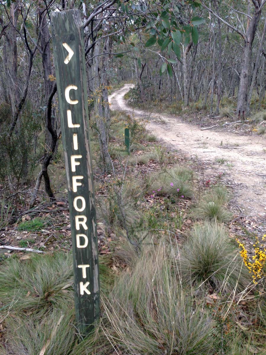 Bears head circuit hike 17