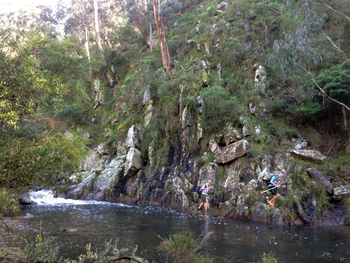 Bears head circuit hike 2