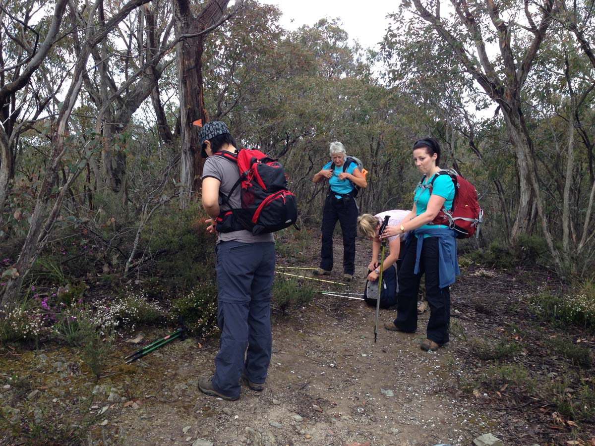 Bears head circuit hike 21