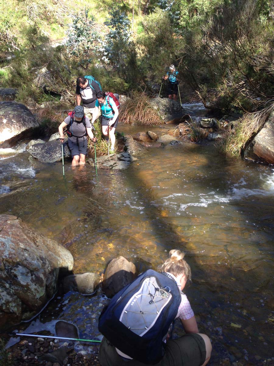 Bears head circuit hike 23