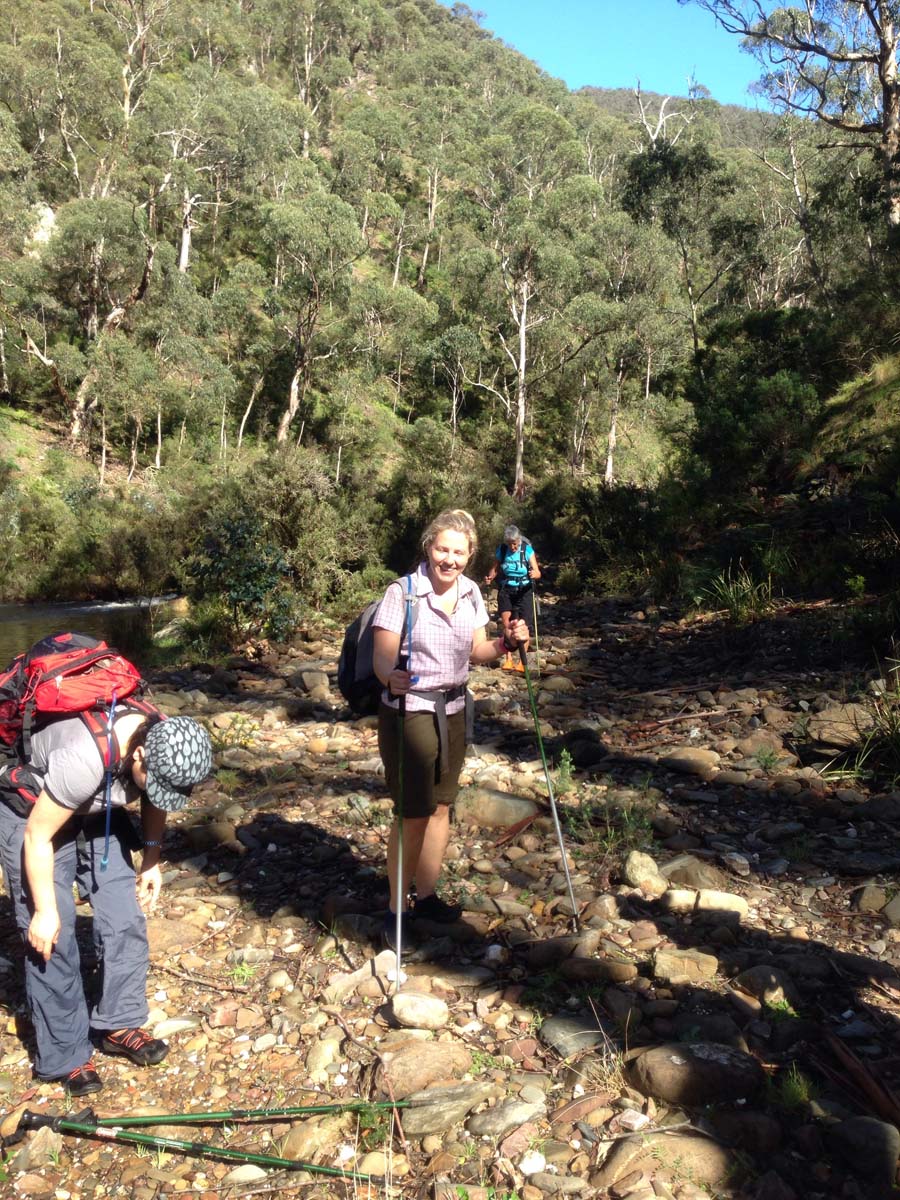 Bears head circuit hike 25