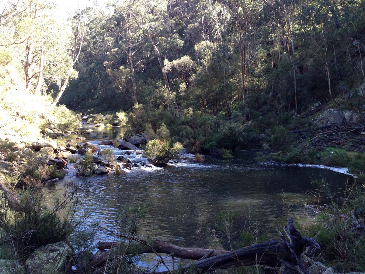 Bears head circuit hike 4