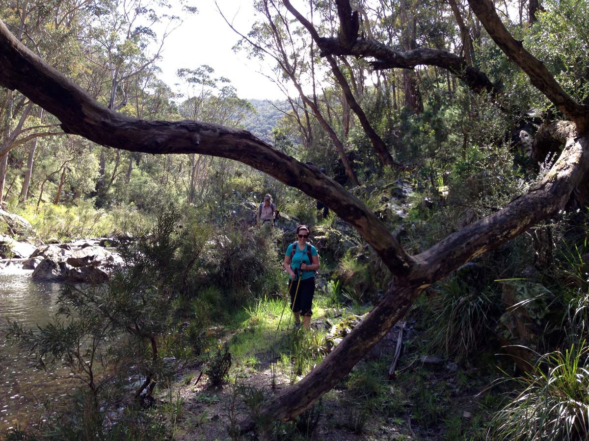 Bears head circuit hike 6