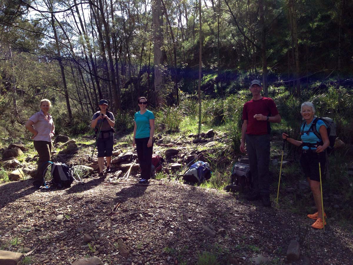 Bears head circuit hike 8