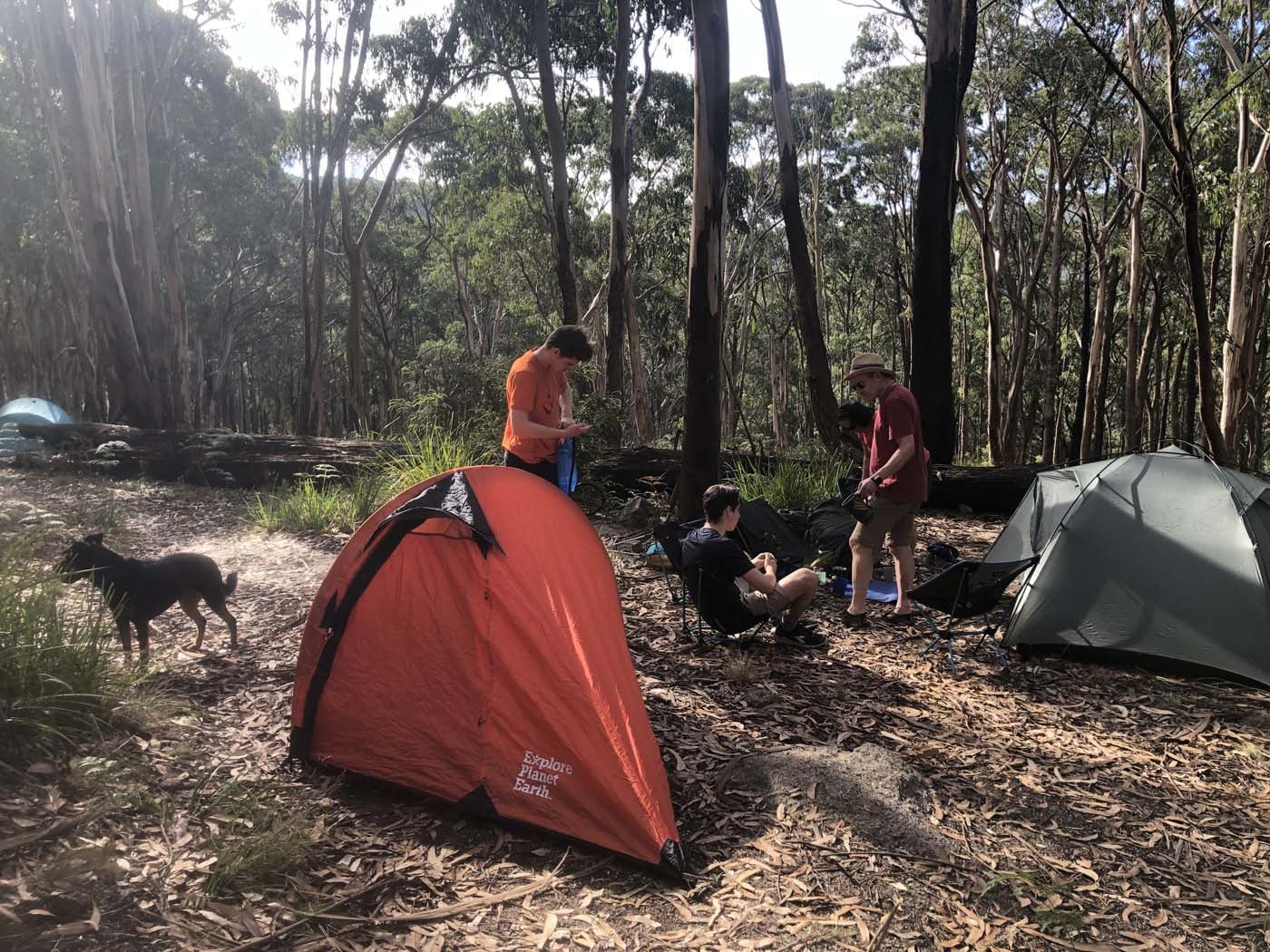 Beeripmo walk victoria (30)