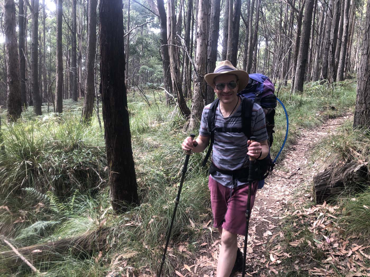 Beeripmo walk victoria (45)