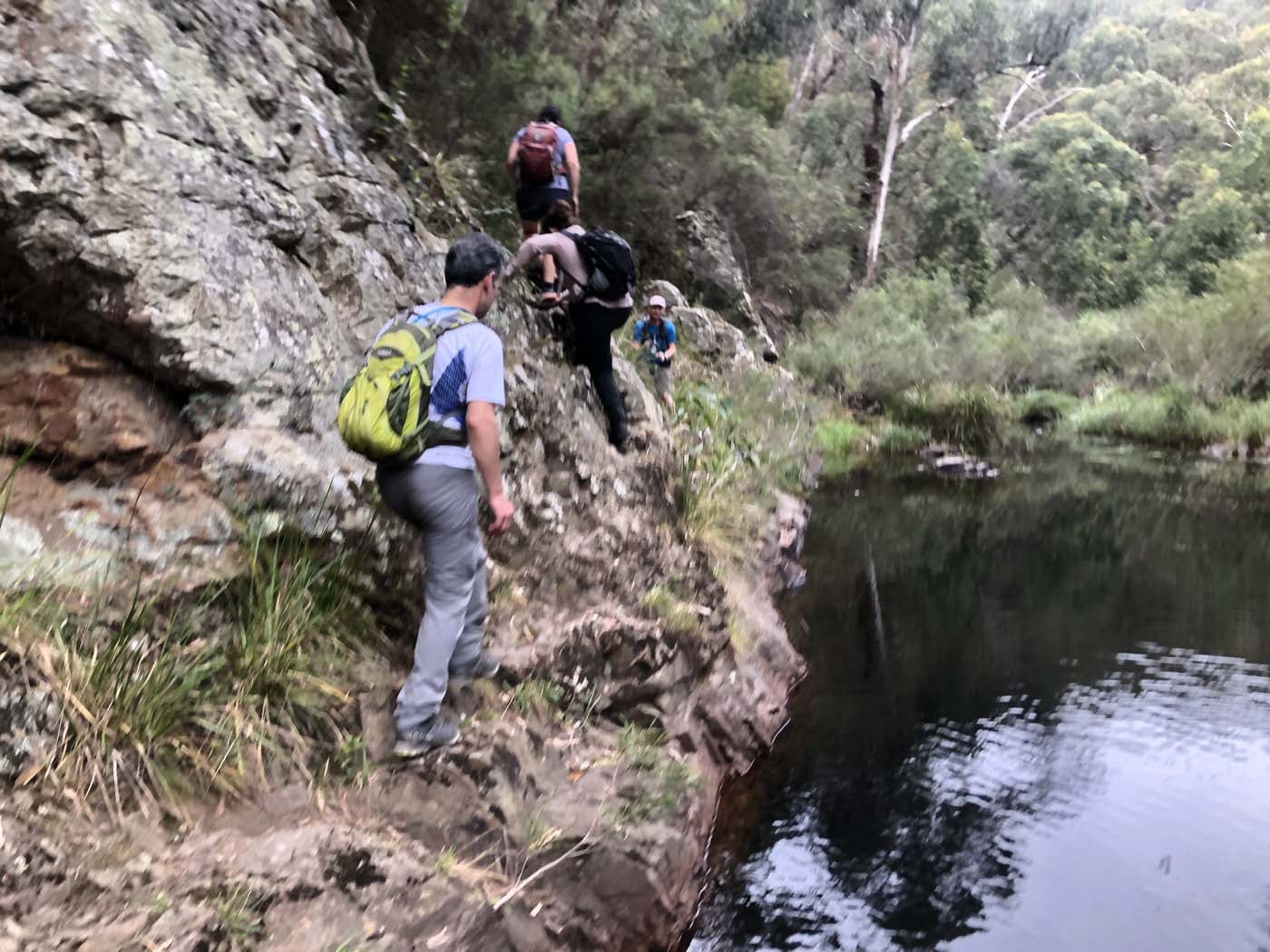 Beeripmo walk victoria (61)