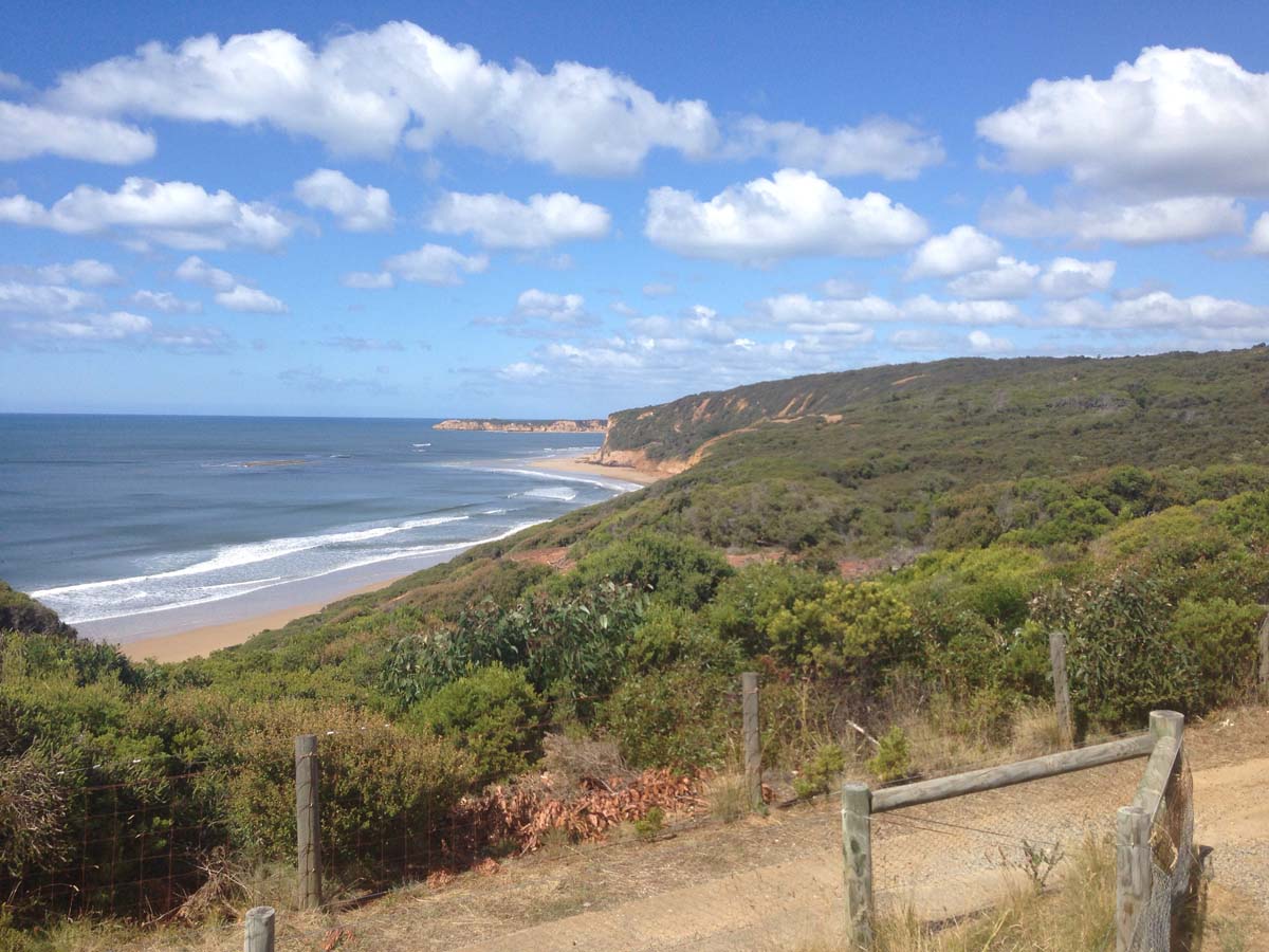 Bells beach & ironbark forest hike 10