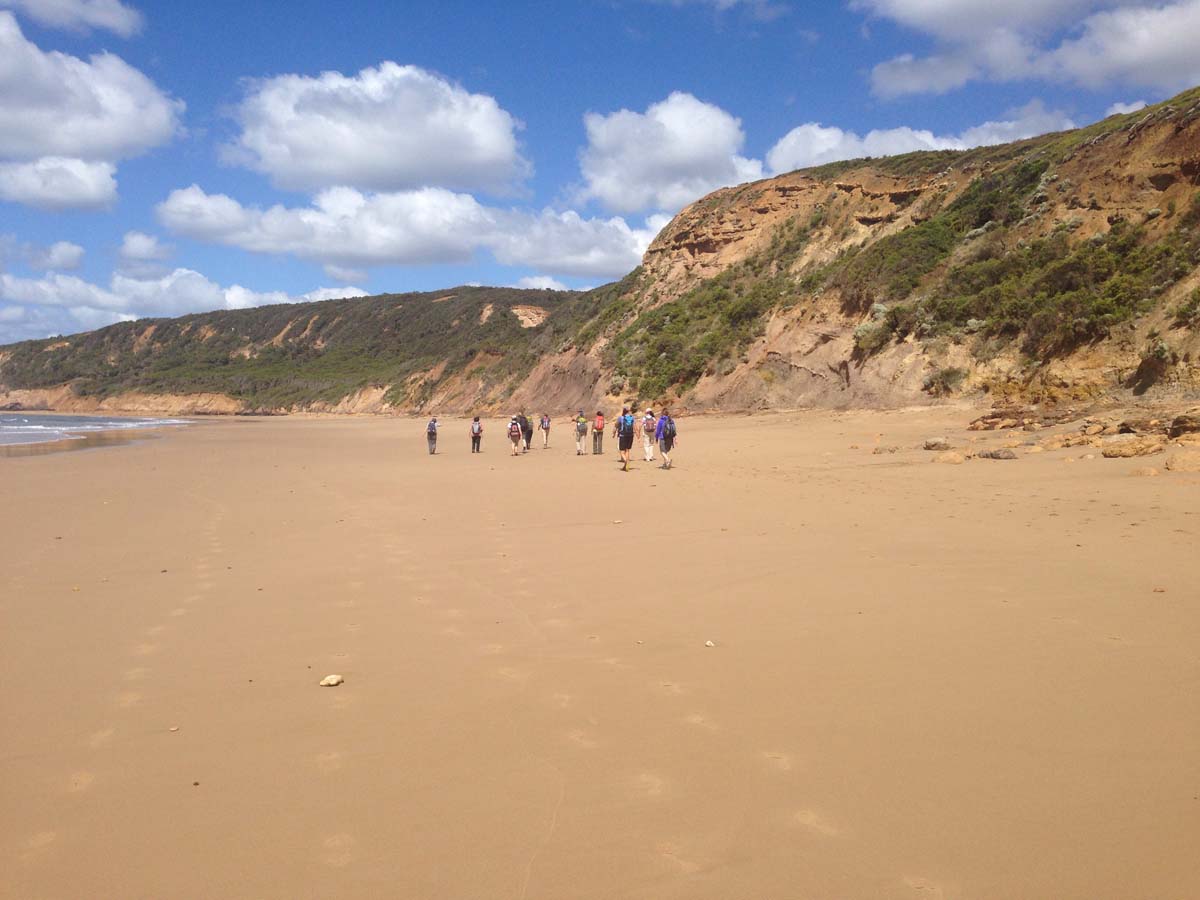 Bells beach & ironbark forest hike 11