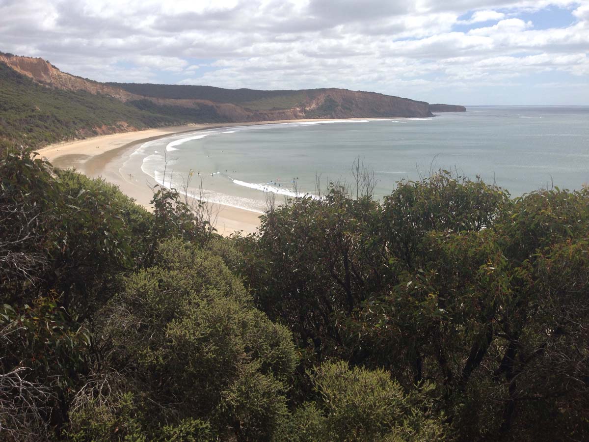 Bells beach & ironbark forest hike 14